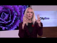 How to find your dream career based on your personality